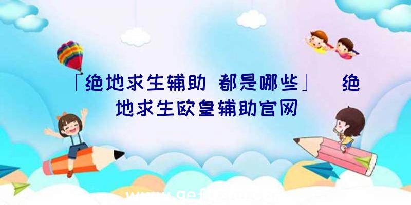 「绝地求生辅助